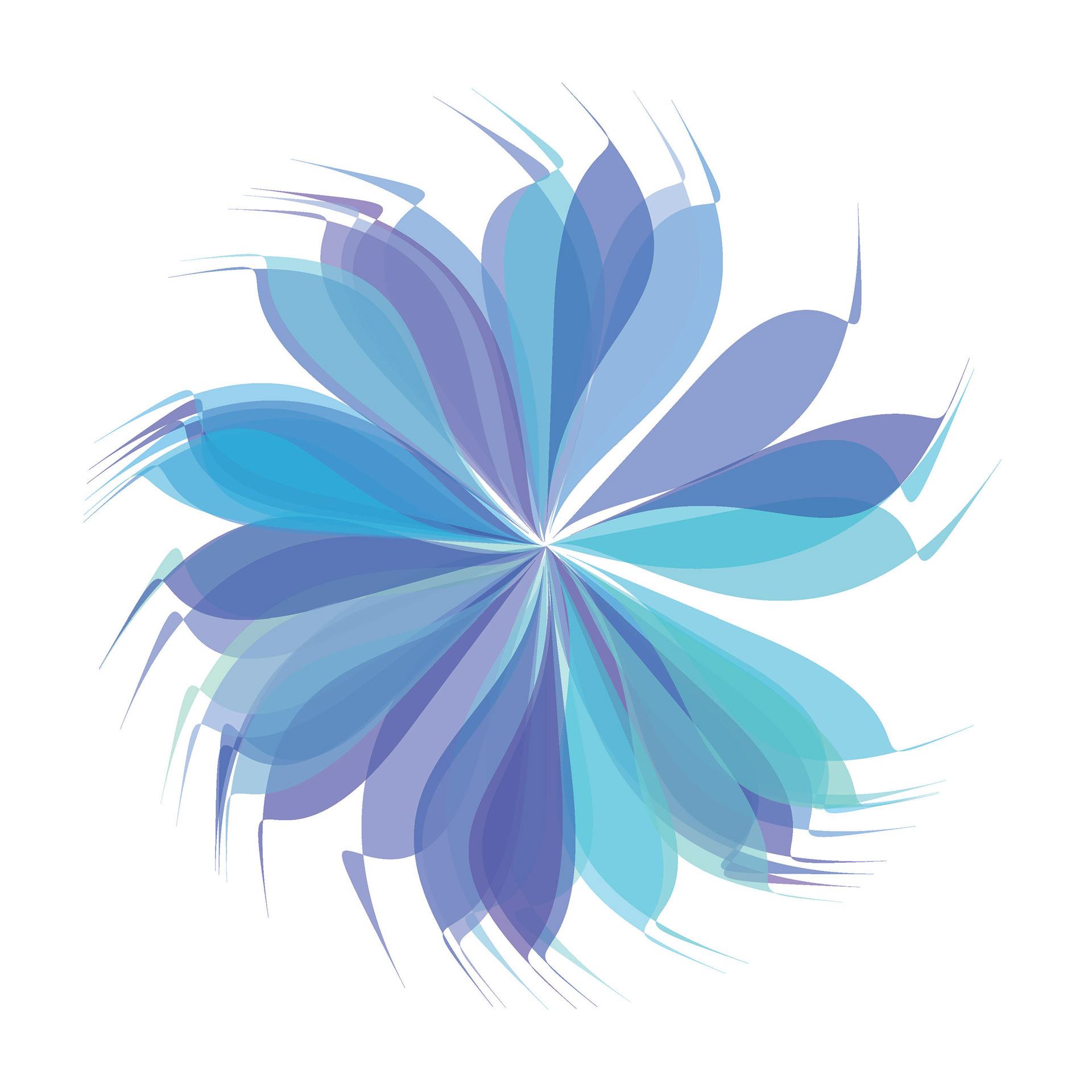 Flower Study built from generative coding. Built in Processing.