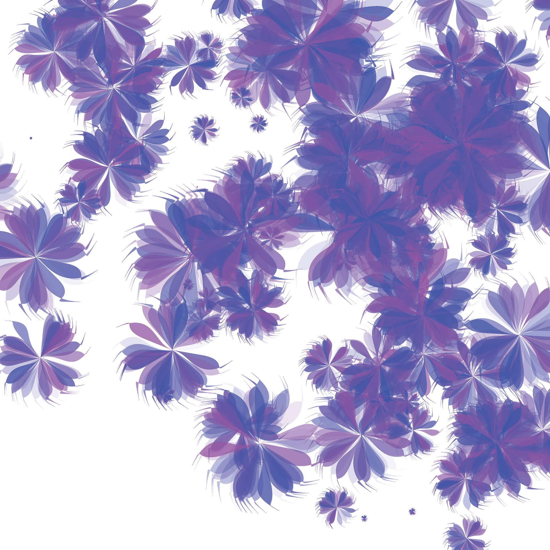 Flower Study built from generative coding. Built in Processing.