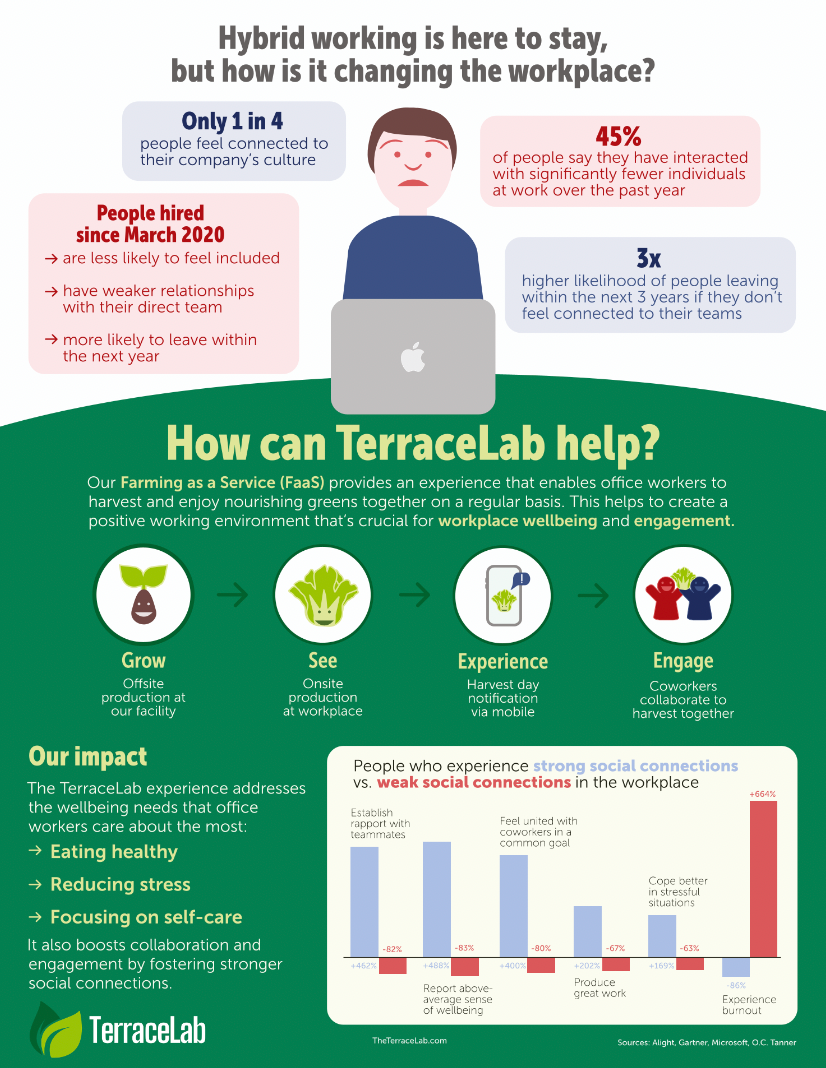 Infographic