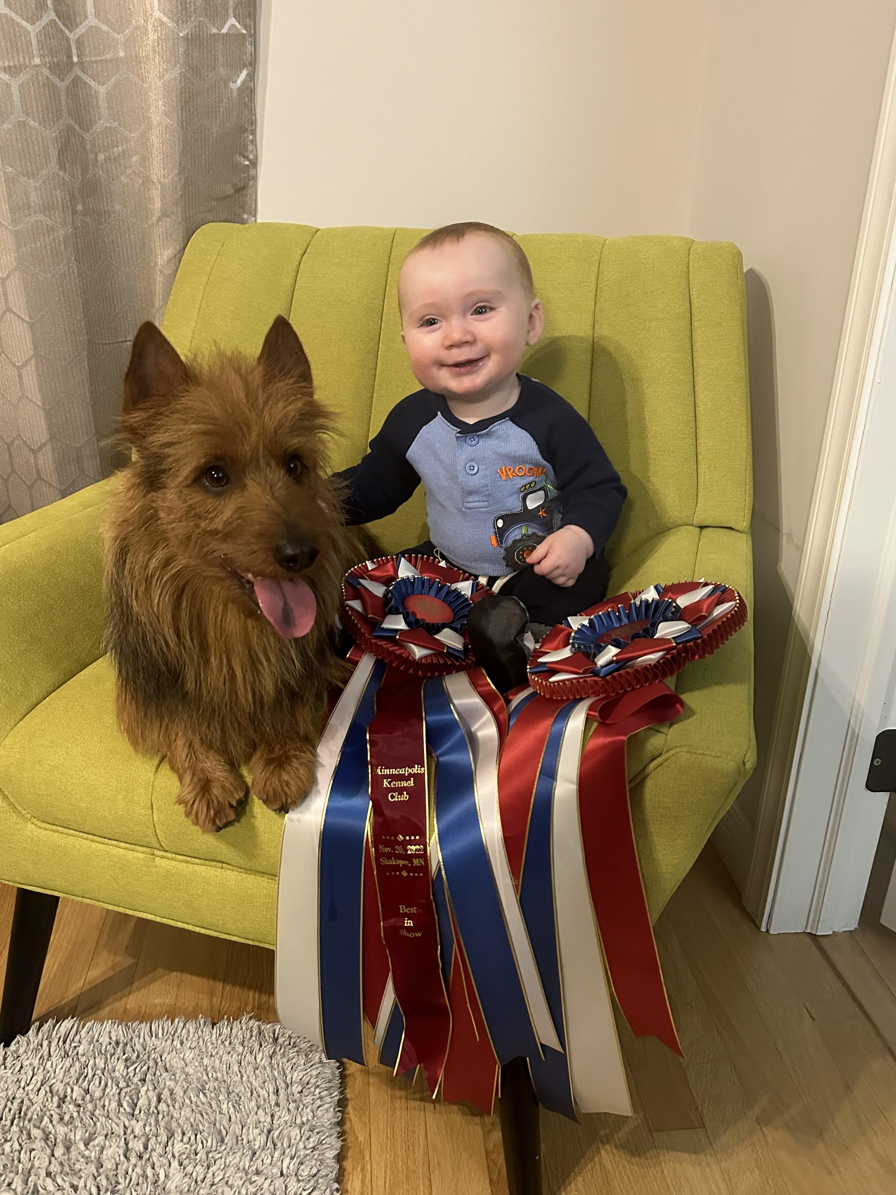 Humor Best In Shows with best buddy Wilder