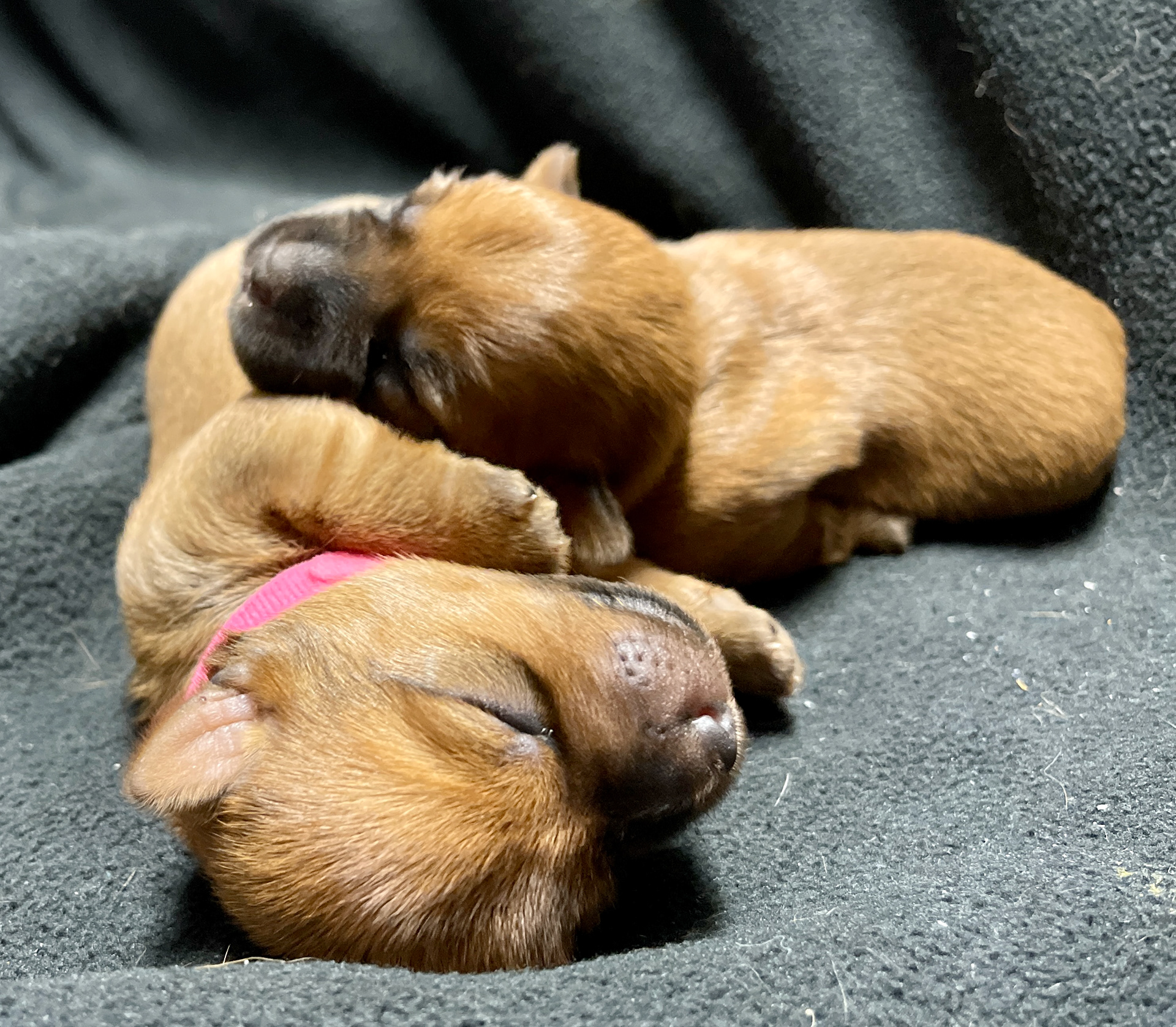 Love is... A nap with you