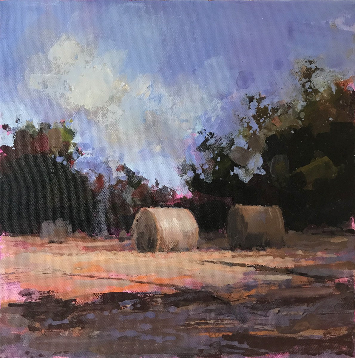 Bale field study 3, 30 x 30cm, acrylic.