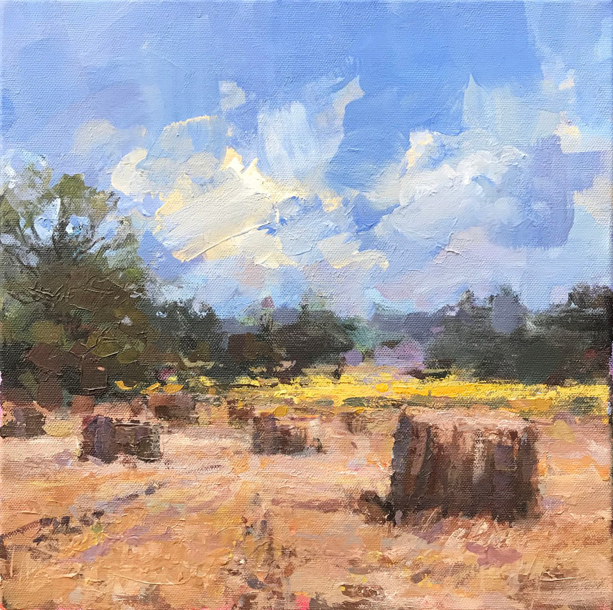 Ploughman's lunch, 30 x 30cm, acrylic.