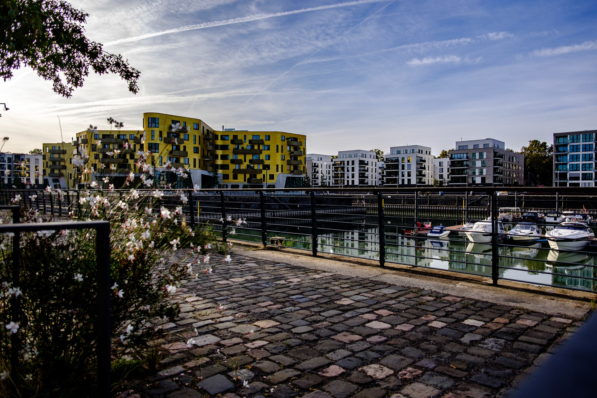 ... mainz ...