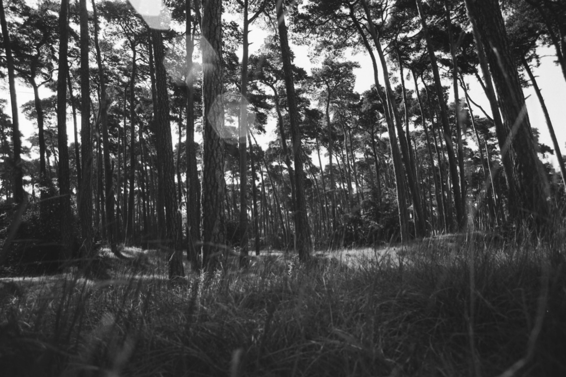 ... budenheim in the 80s ...