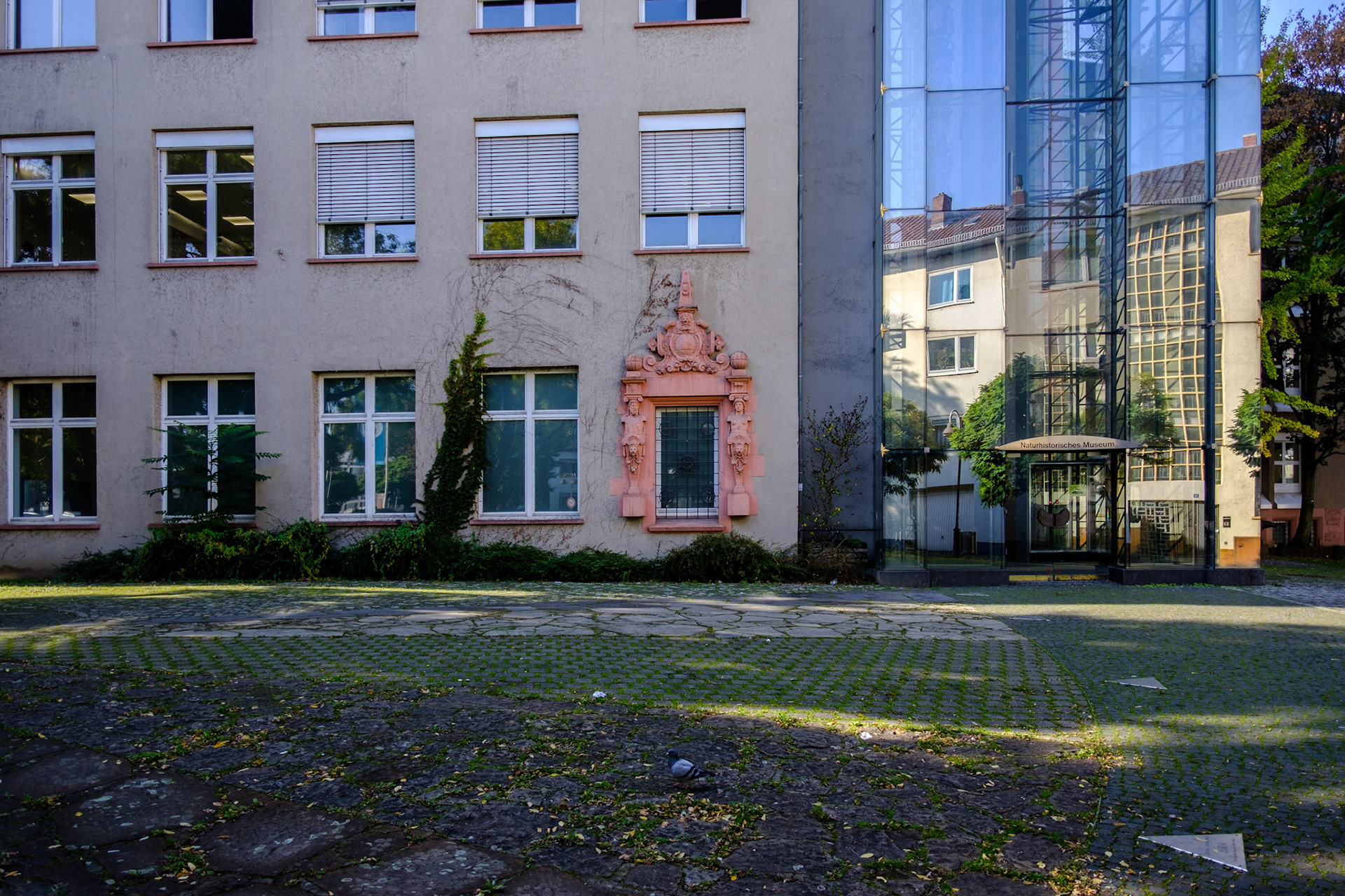 ... mainz ...