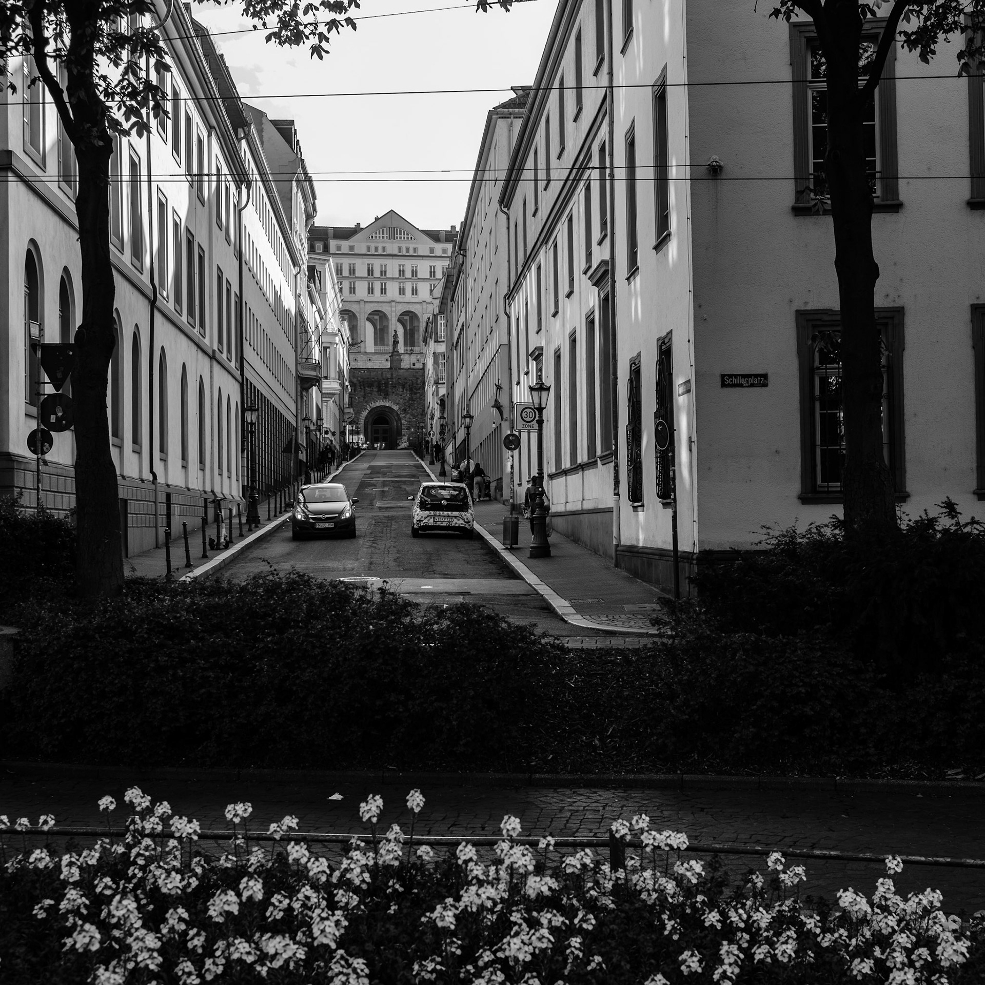 ... mainz ...