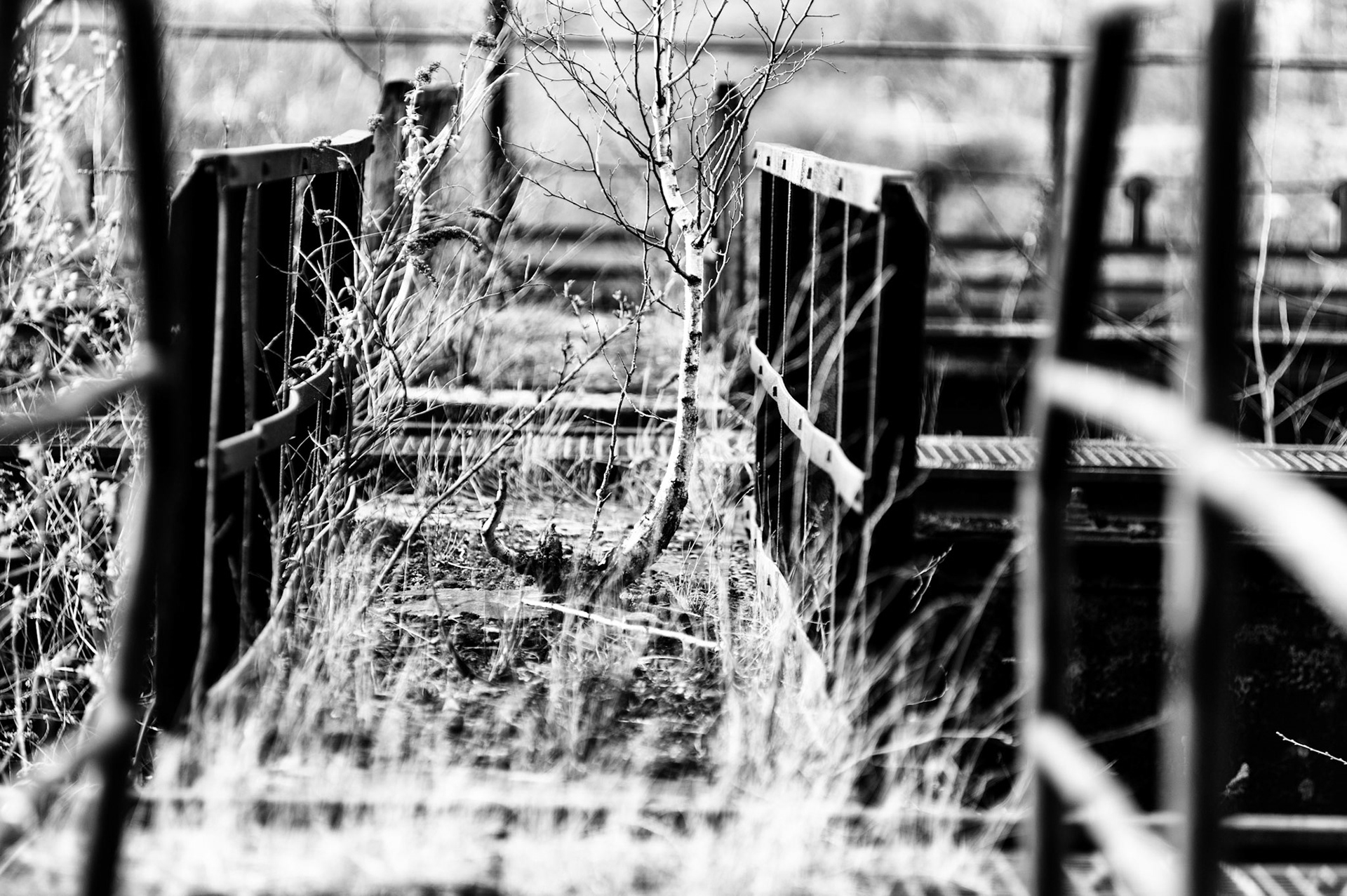 landschaftspark duisburg nord