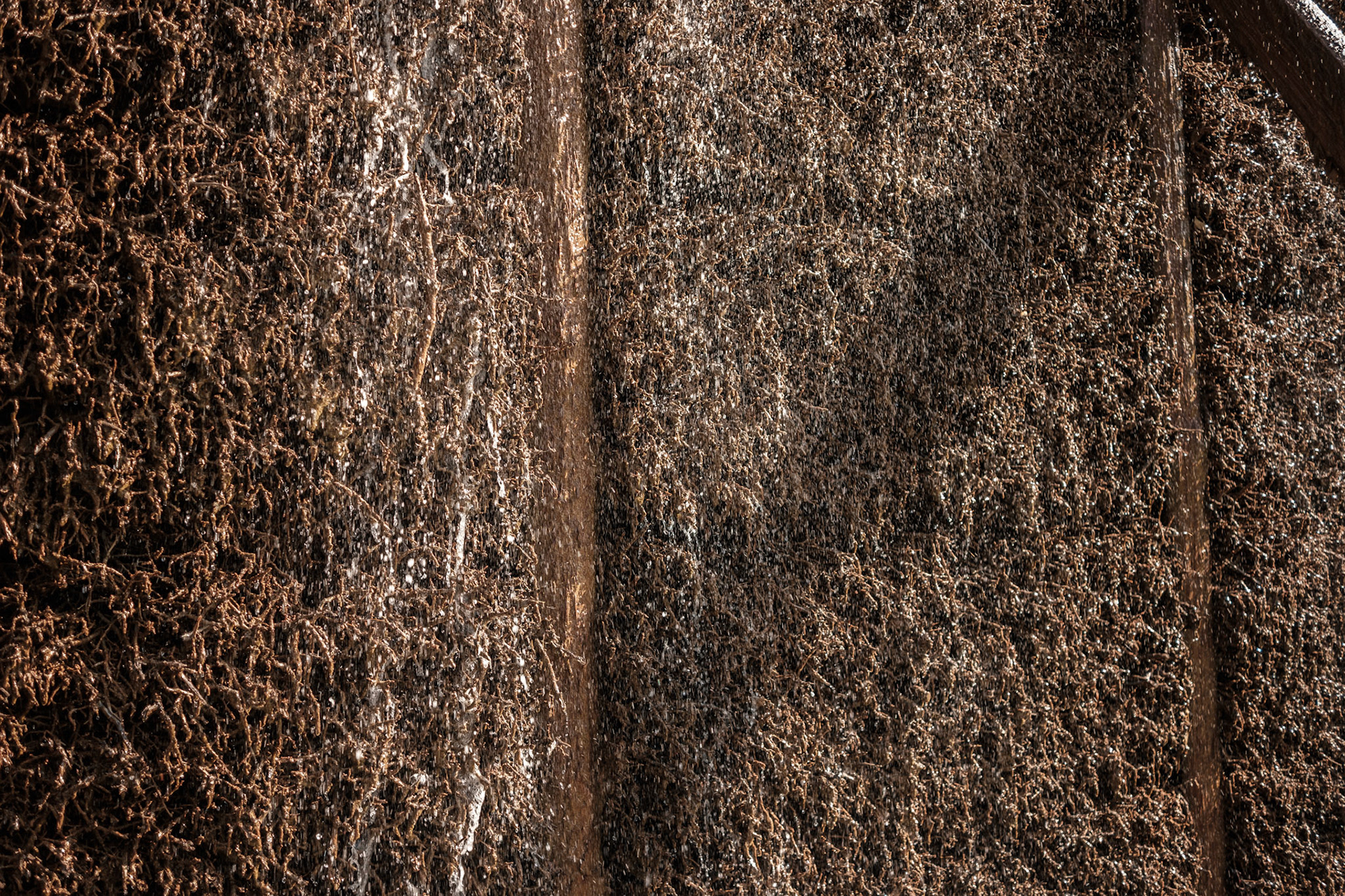 ... bad kreuznach ...