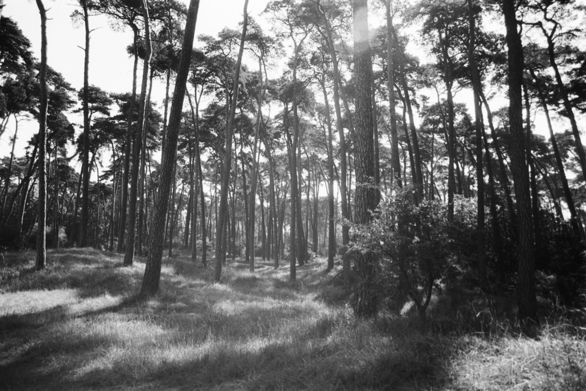 ... budenheim in the 80s ...