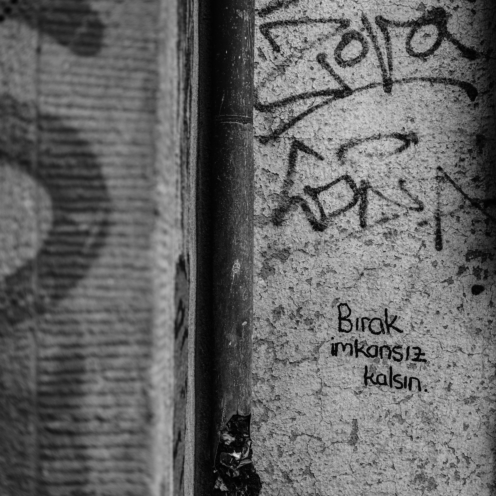 ... mainz ...