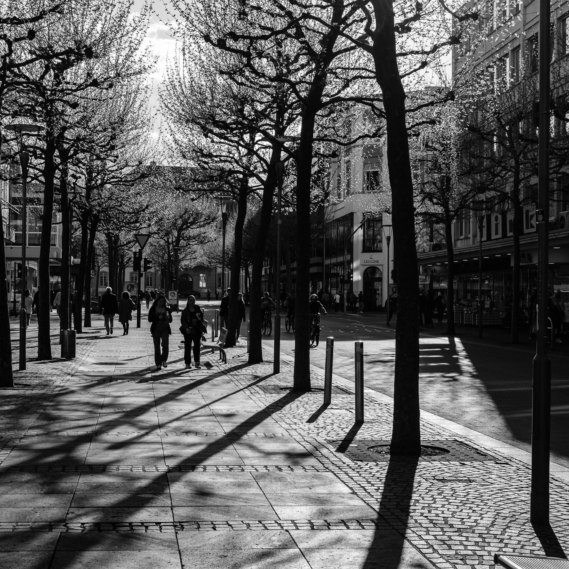 ... mainz ...