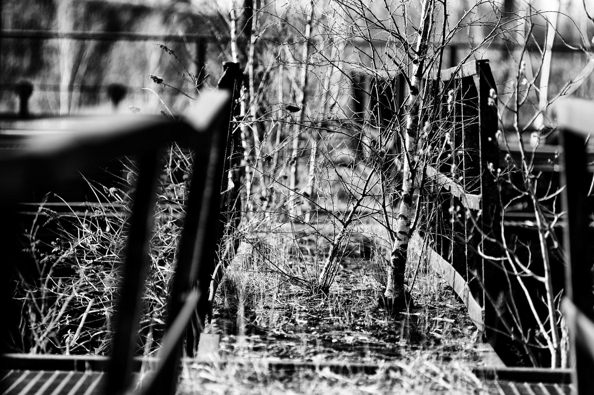 landschaftspark duisburg nord