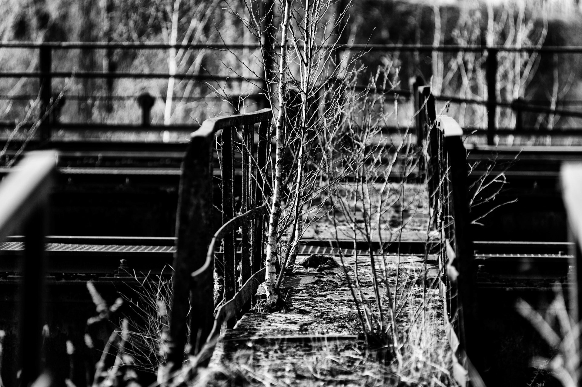 landschaftspark duisburg nord