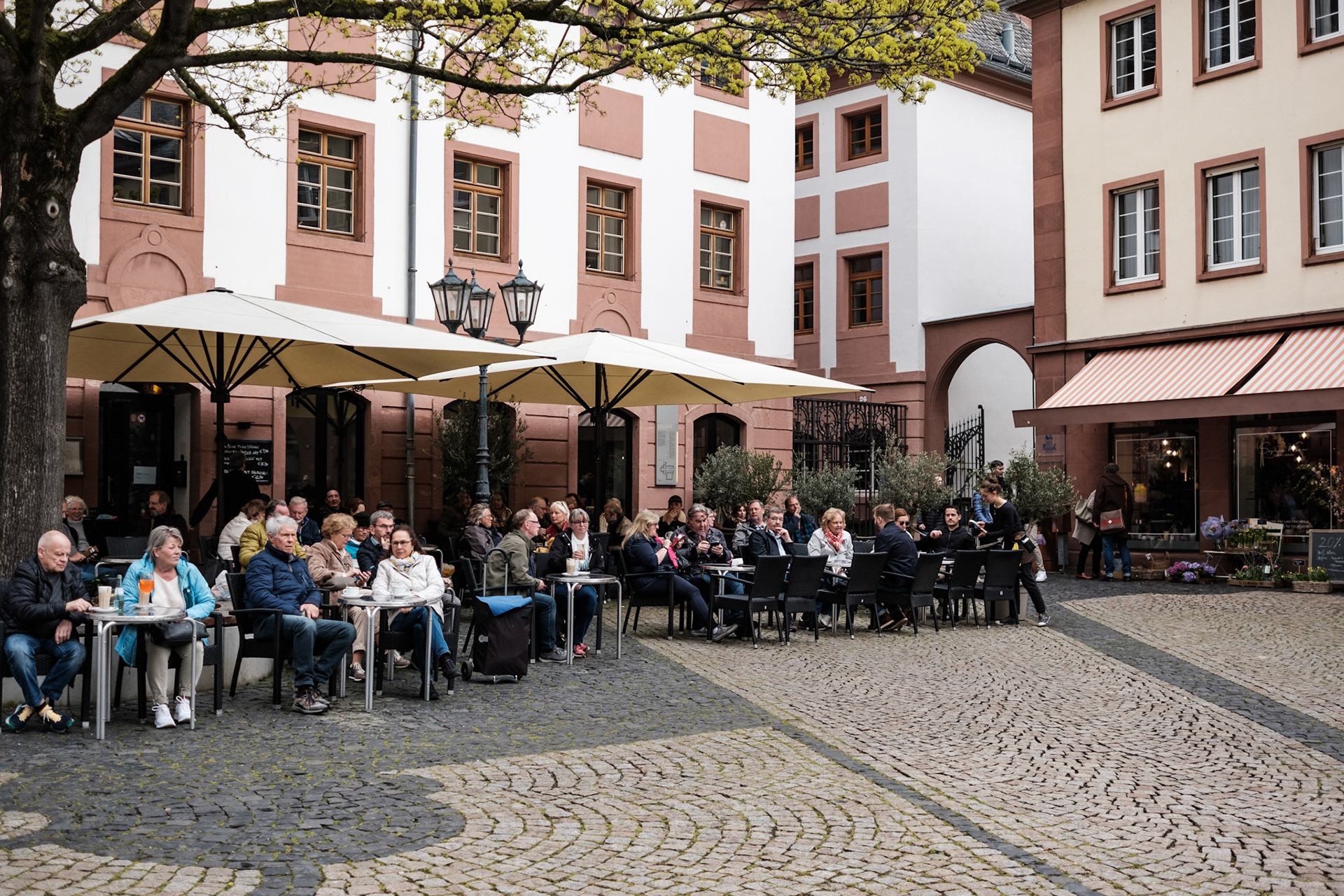... mainz ...