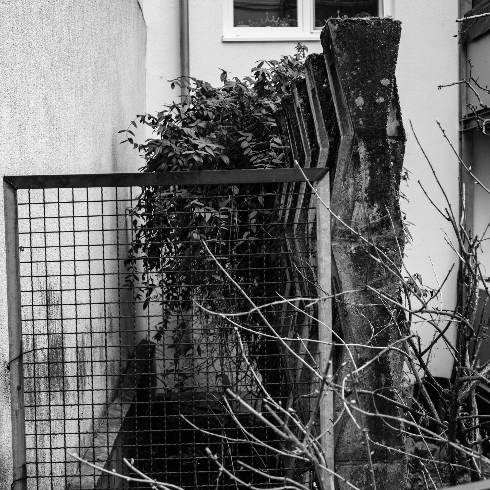 ... mainz ...