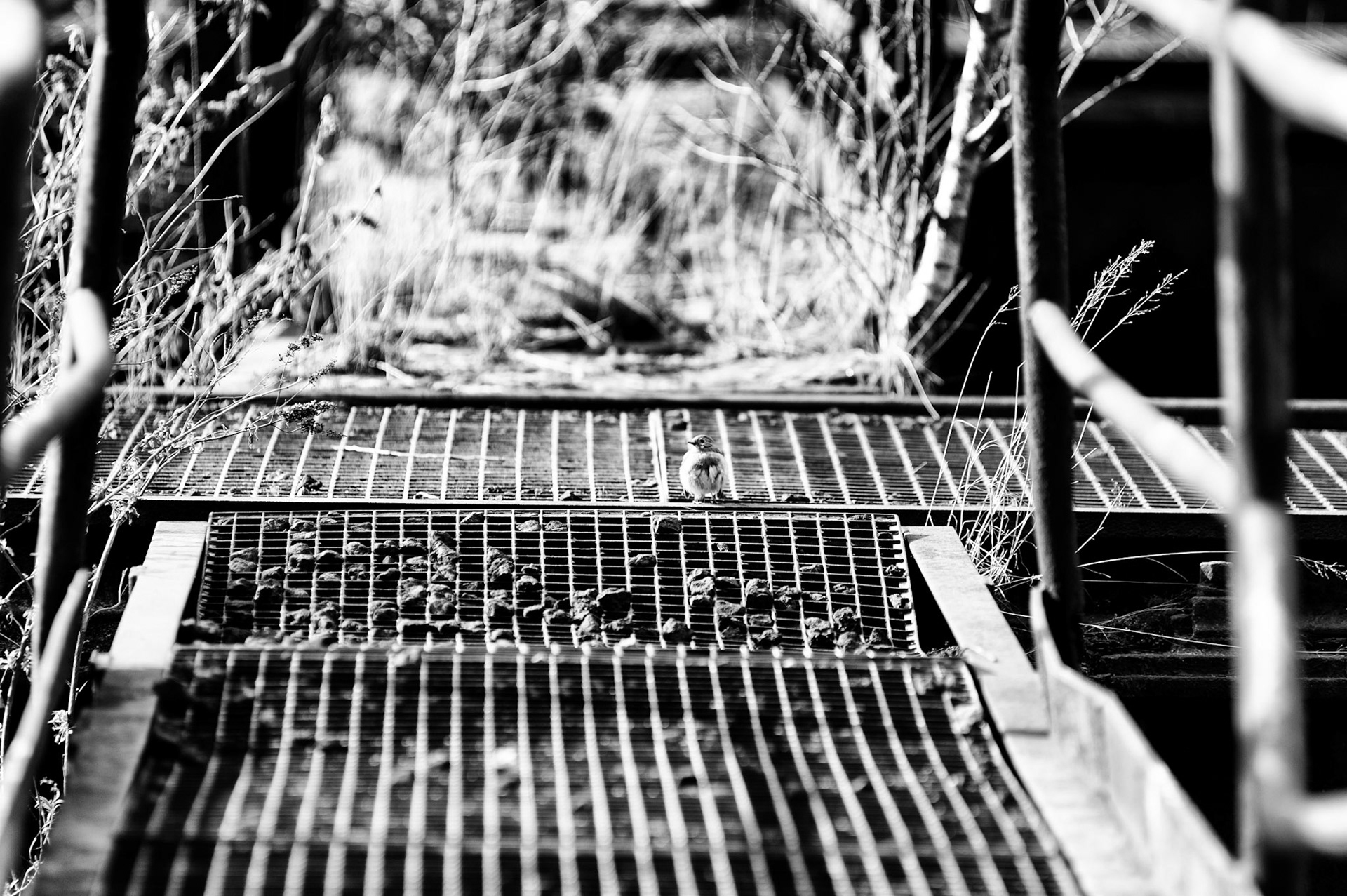 landschaftspark duisburg nord