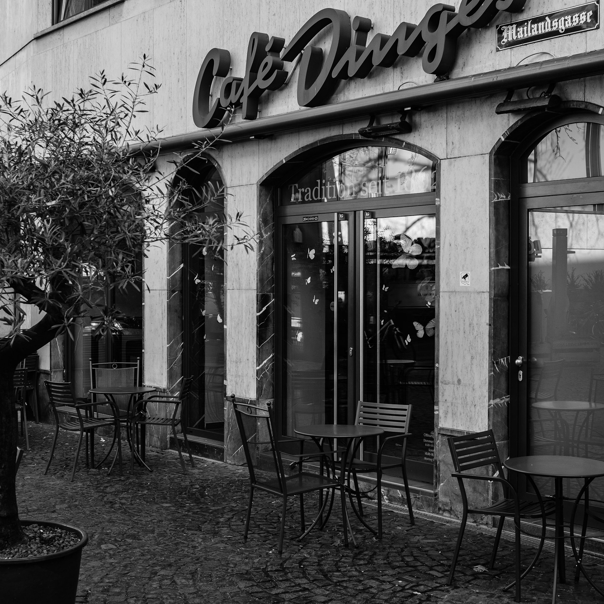 ... mainz ...