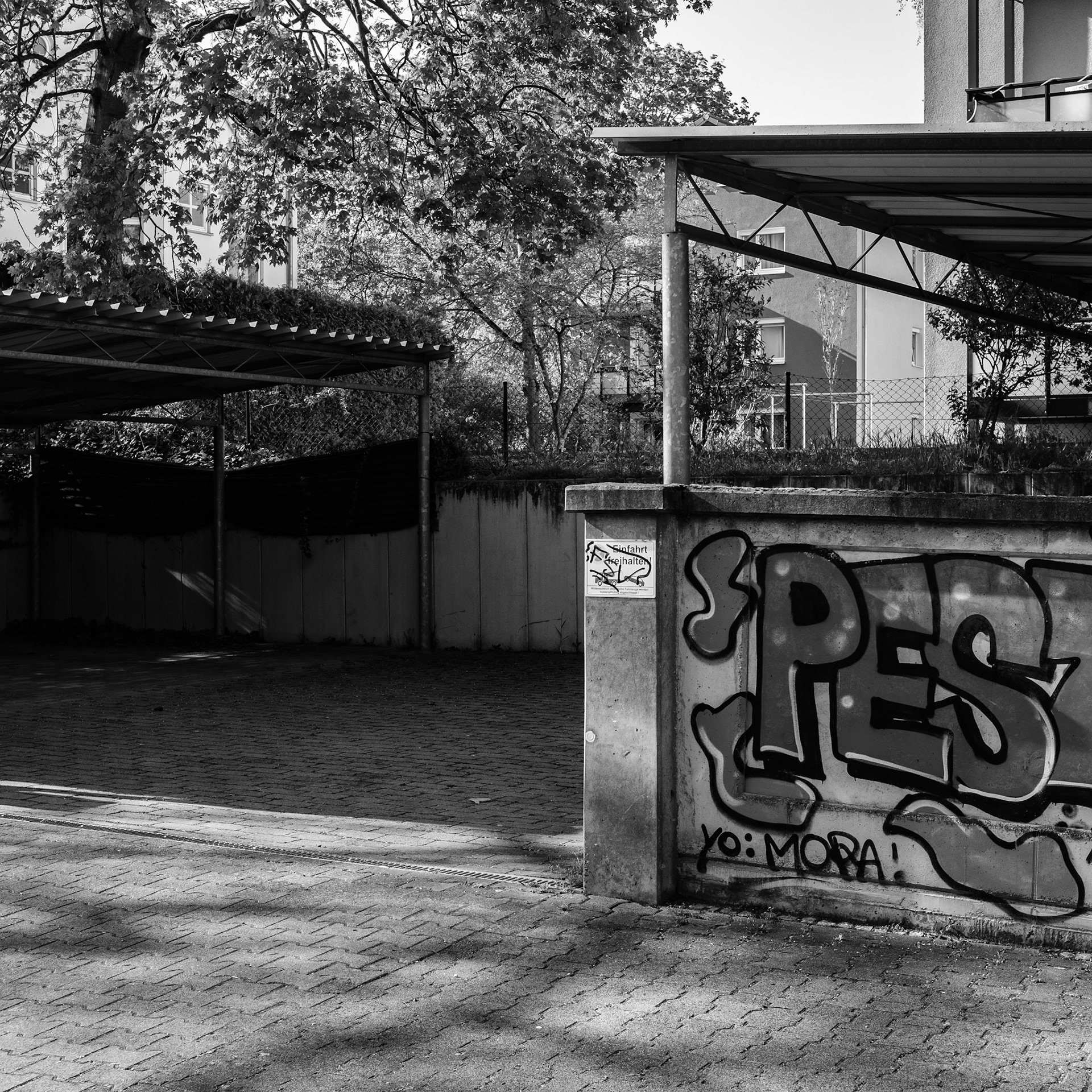 ... mainz ...