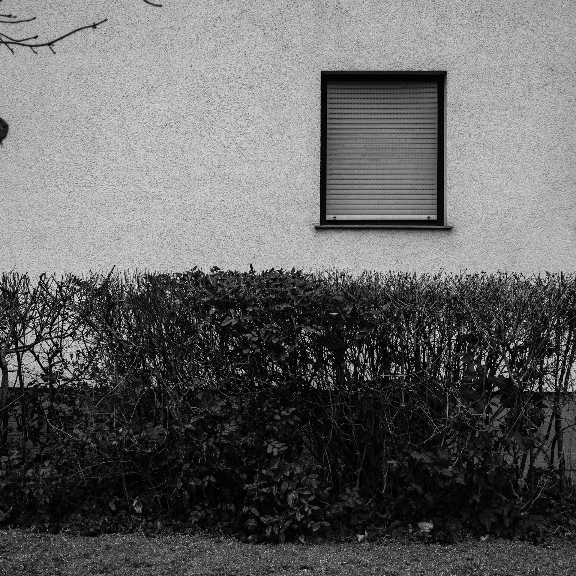... mainz ...