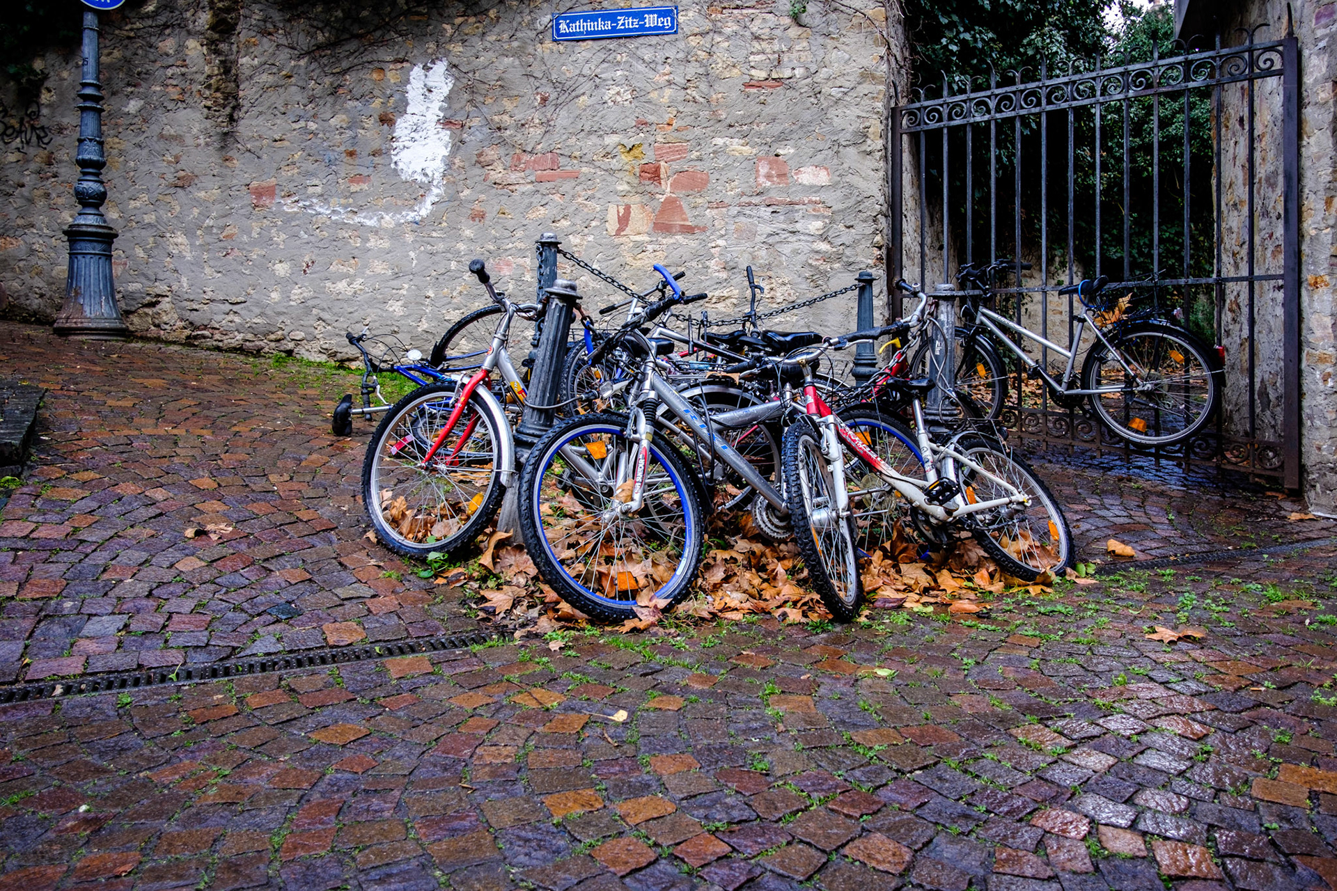 ... mainz ...