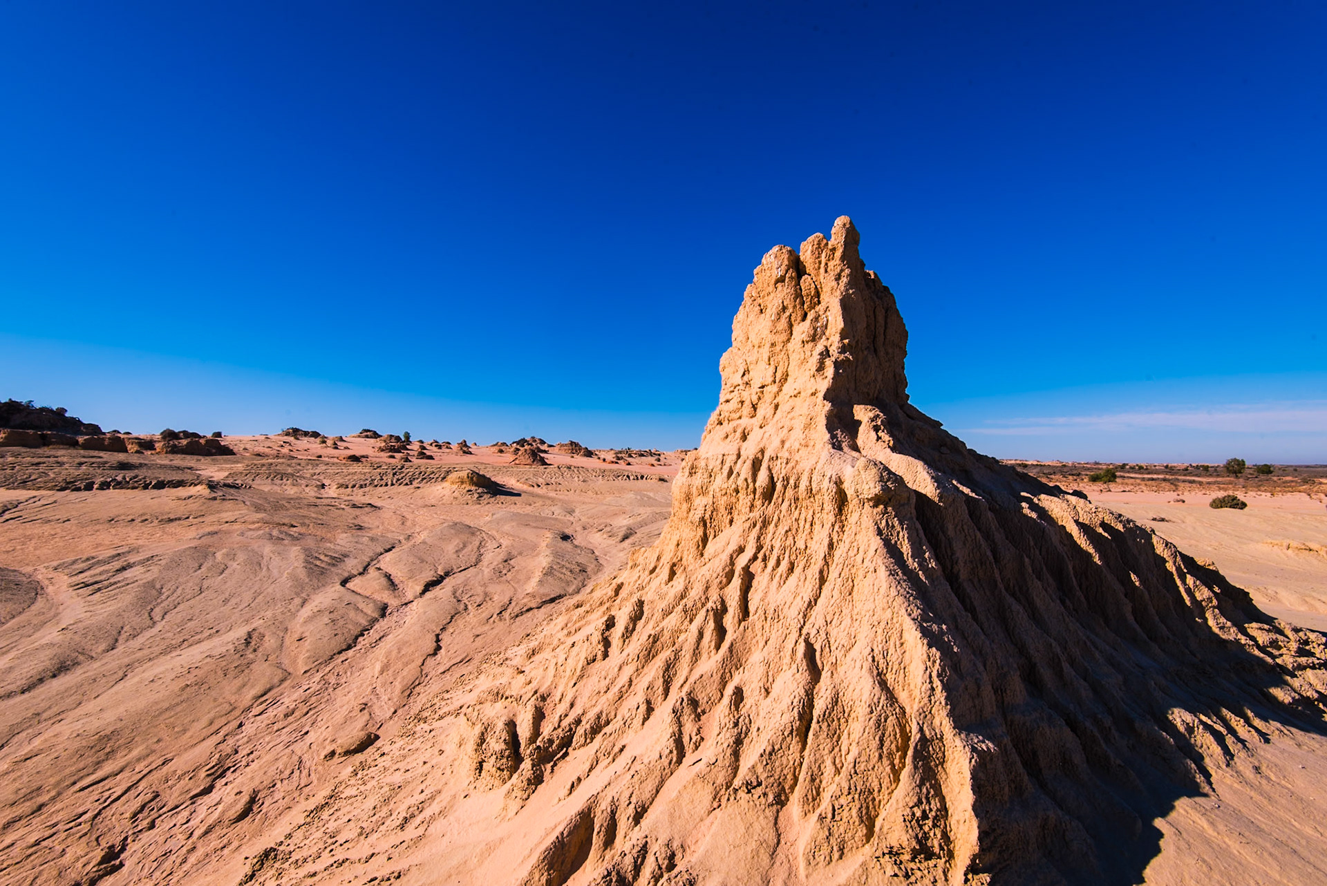 Mungo NP