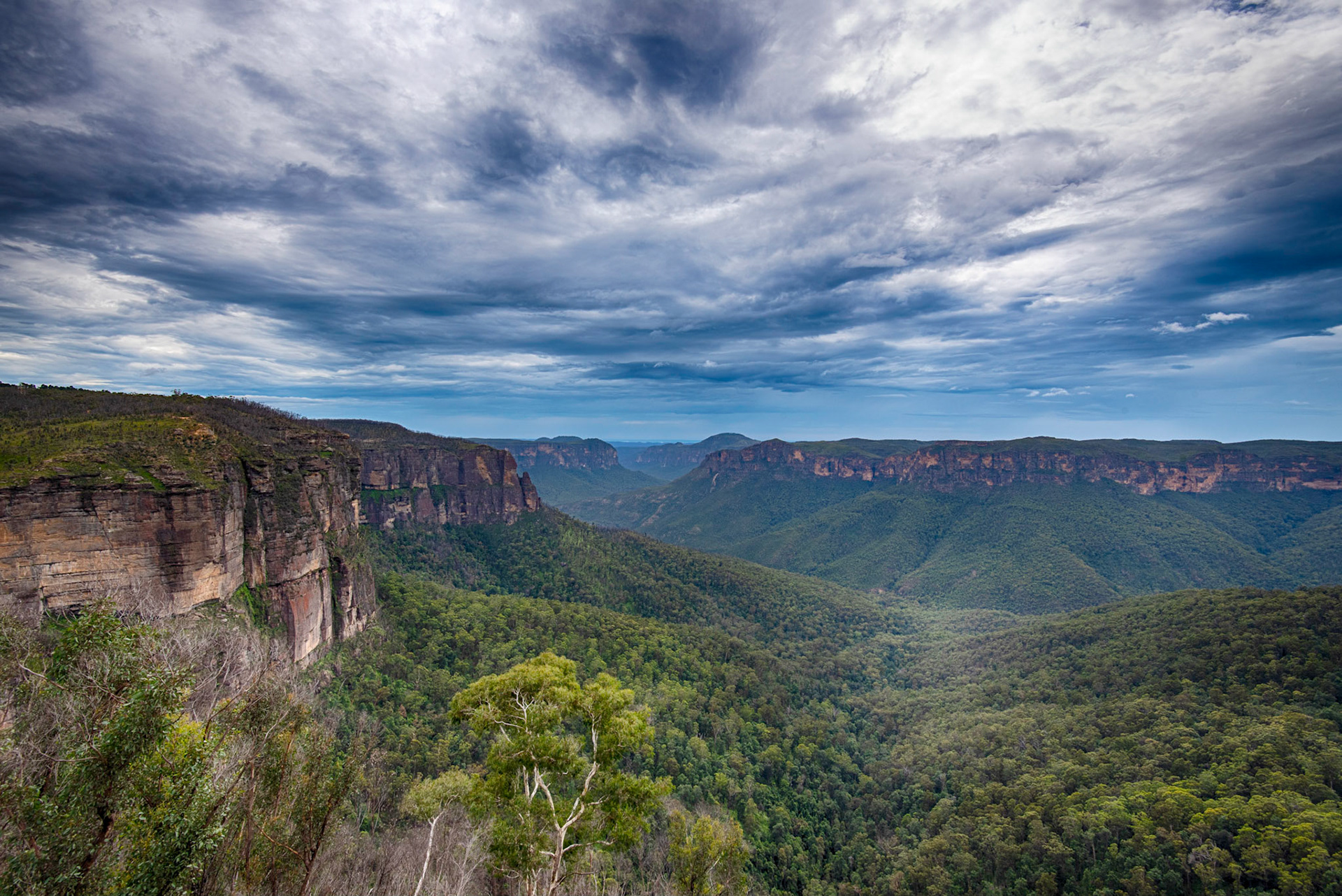 Blue Mountains