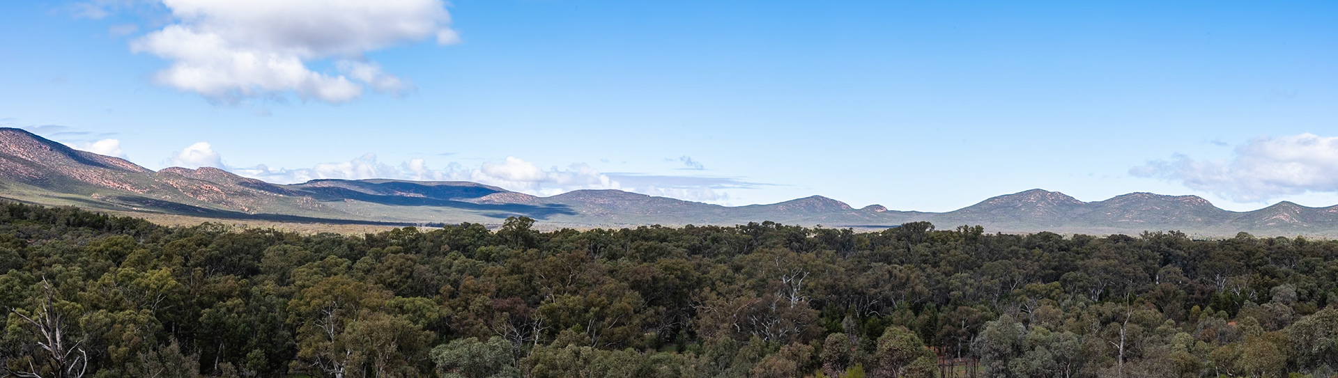 Wilpena Pound