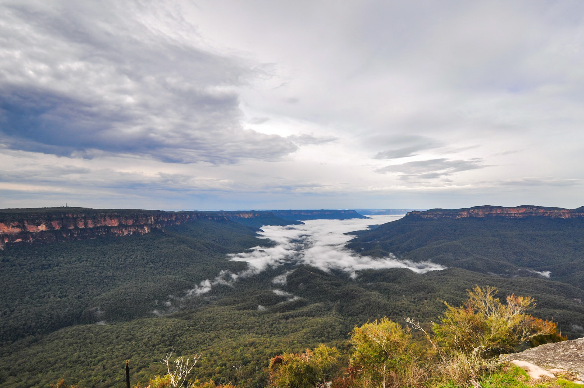 Blue Mountains, Landscape