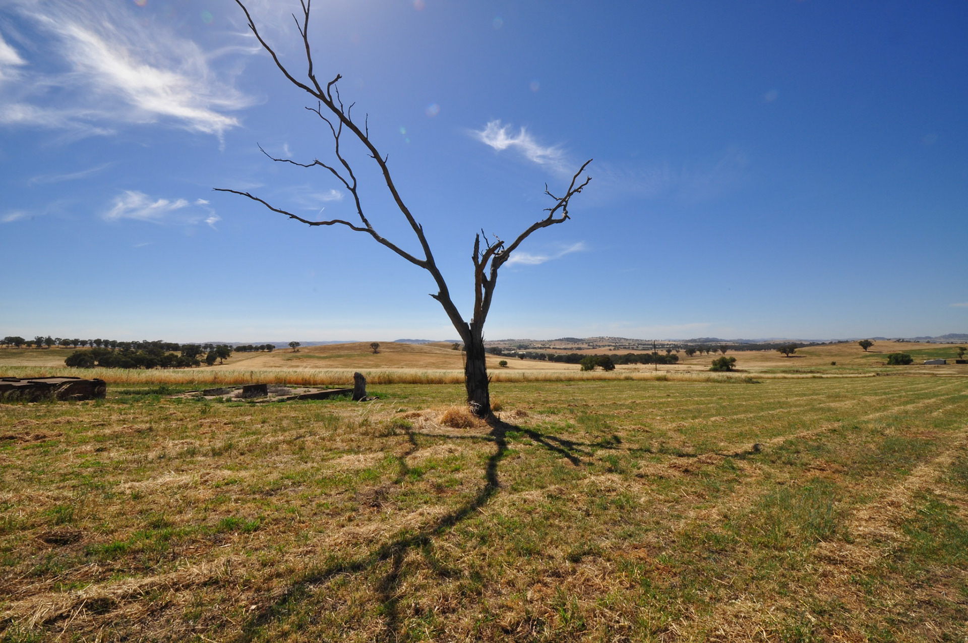 Cowra NSW