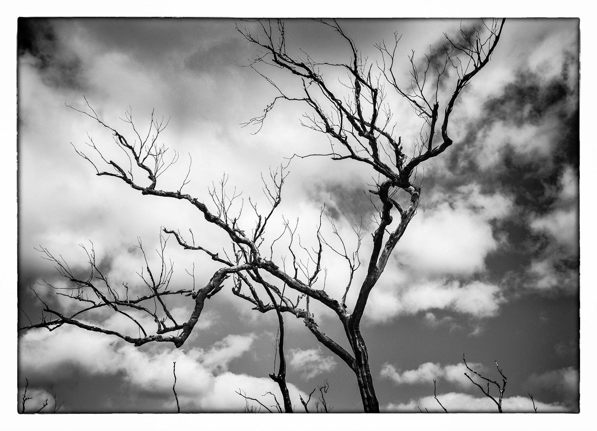 Post Kangaroo Valley Fires