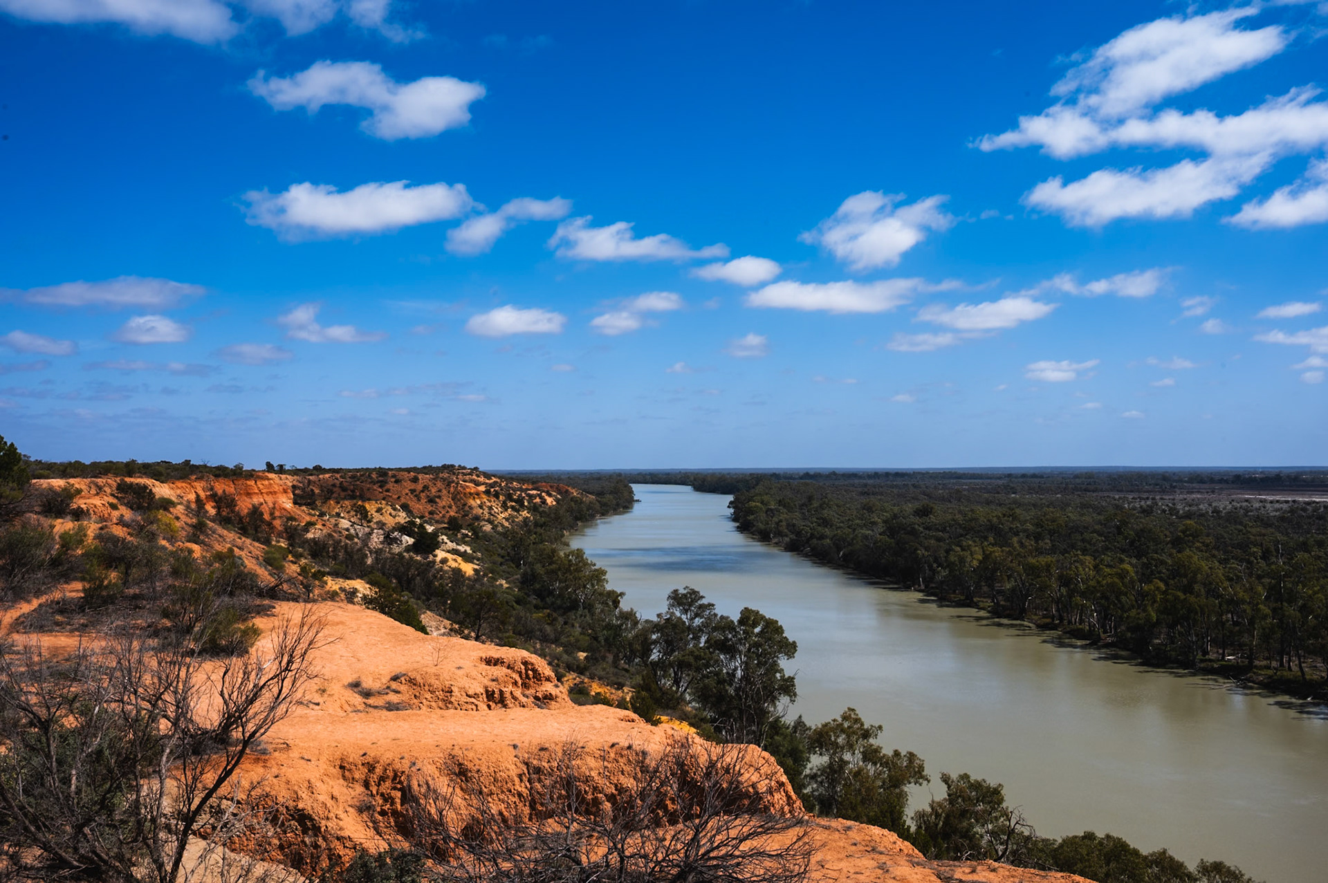 Murray Renmark