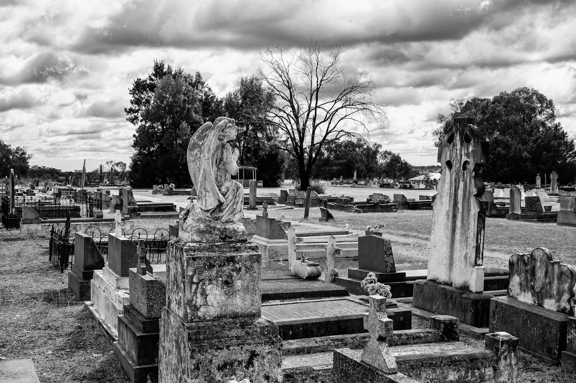 Molong Cemetry