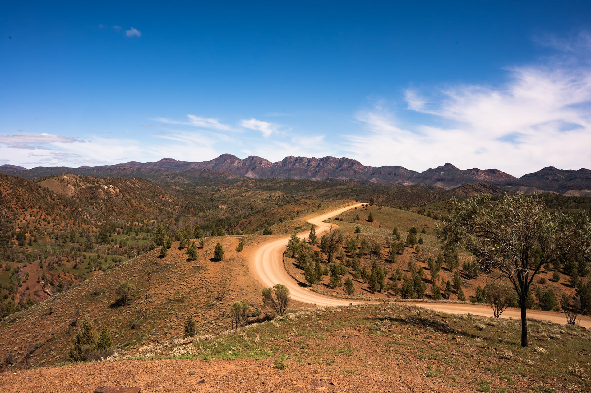 Road to Bunyeroo Gorge