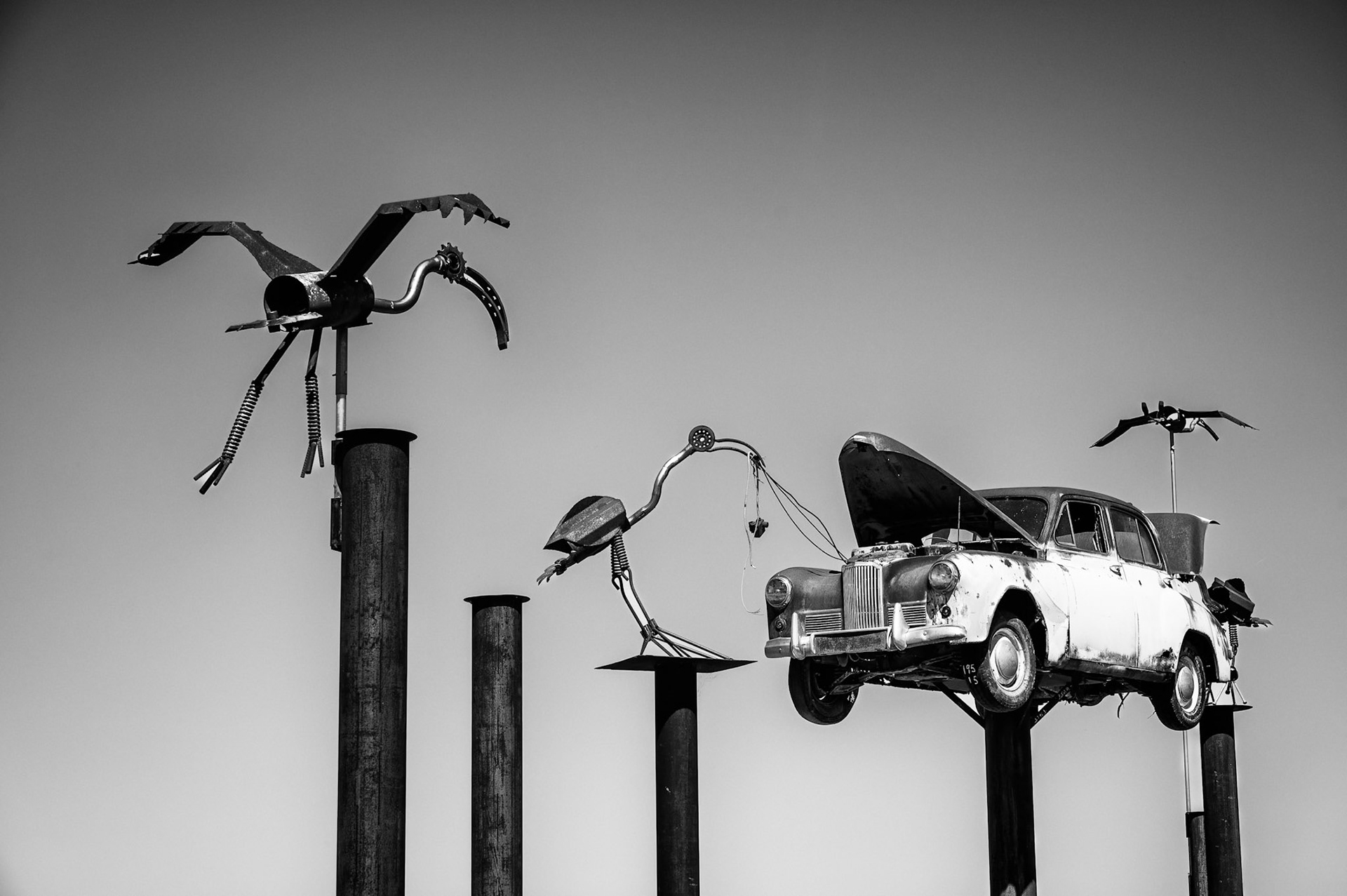 Sculpture Park Goondiwindi