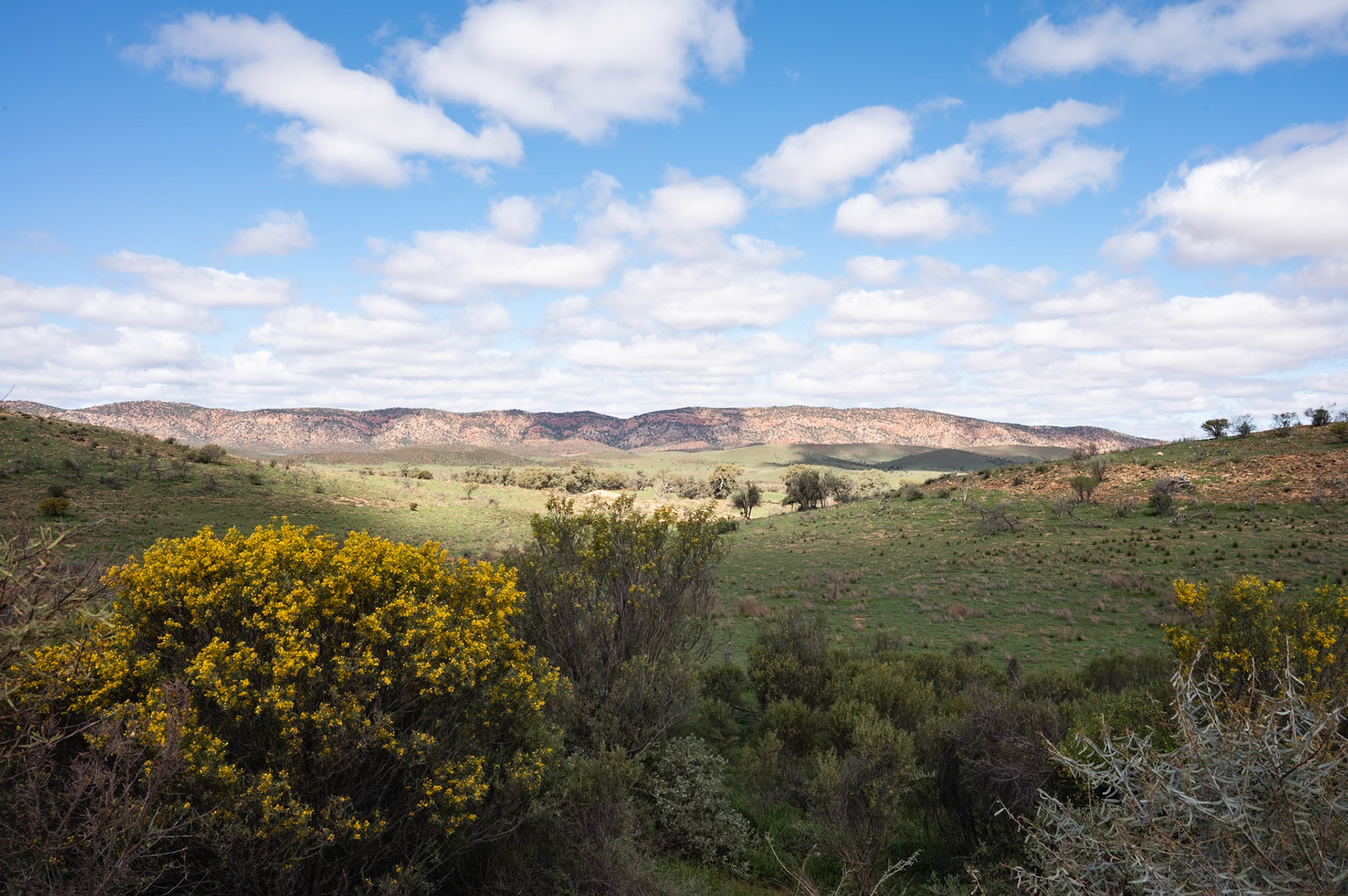 Flinders Ranges