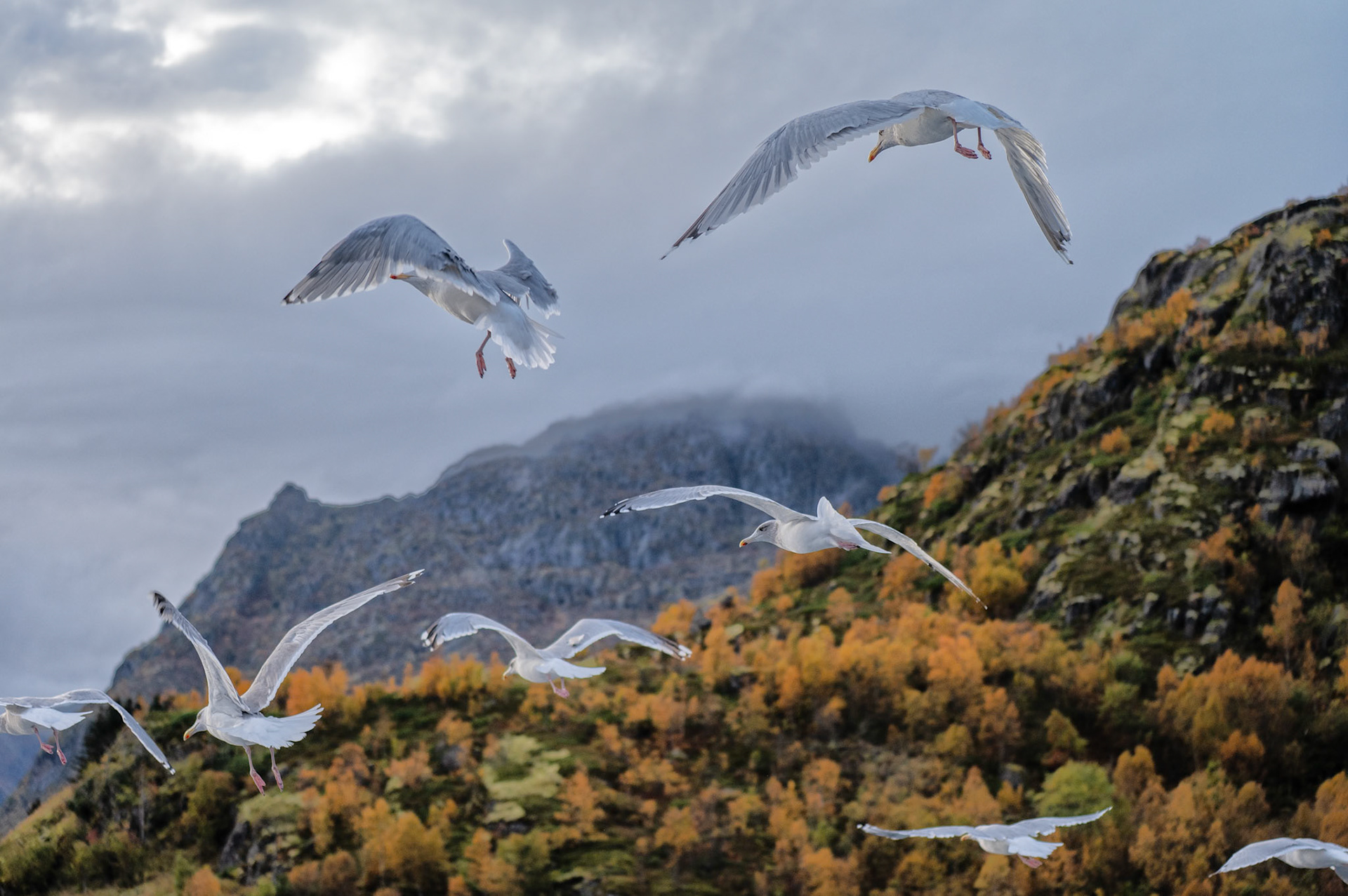 Cruising West Coast of Norway