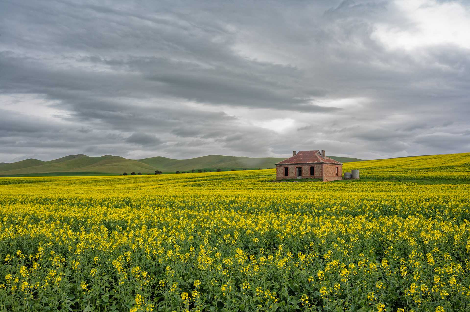 Midnight Oil Cottage, Burra