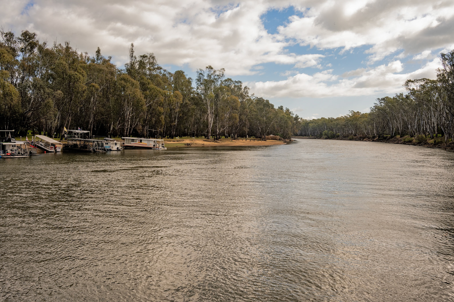 Murray River Corawa