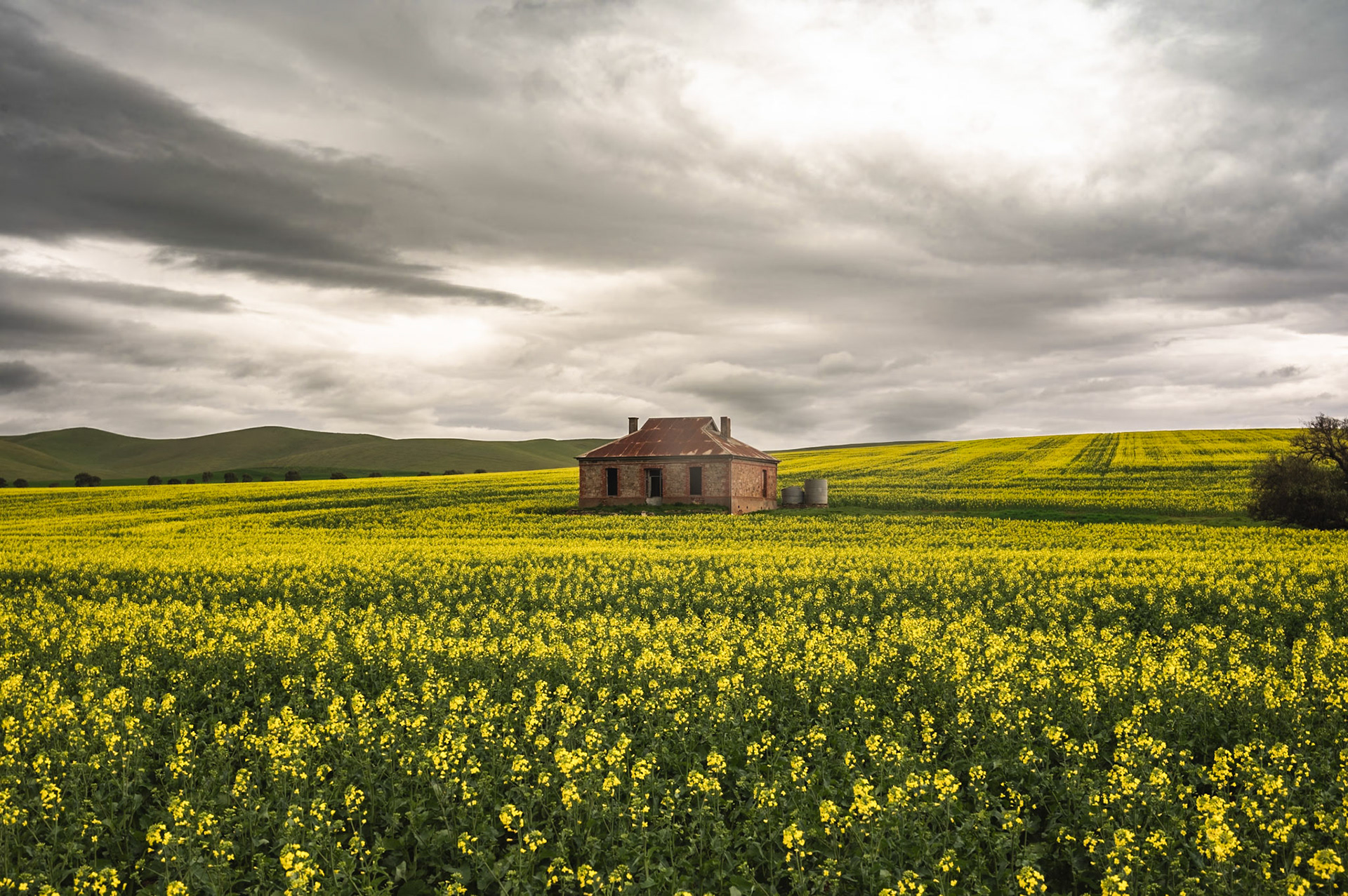 Midnight Oil Cottage, Burra