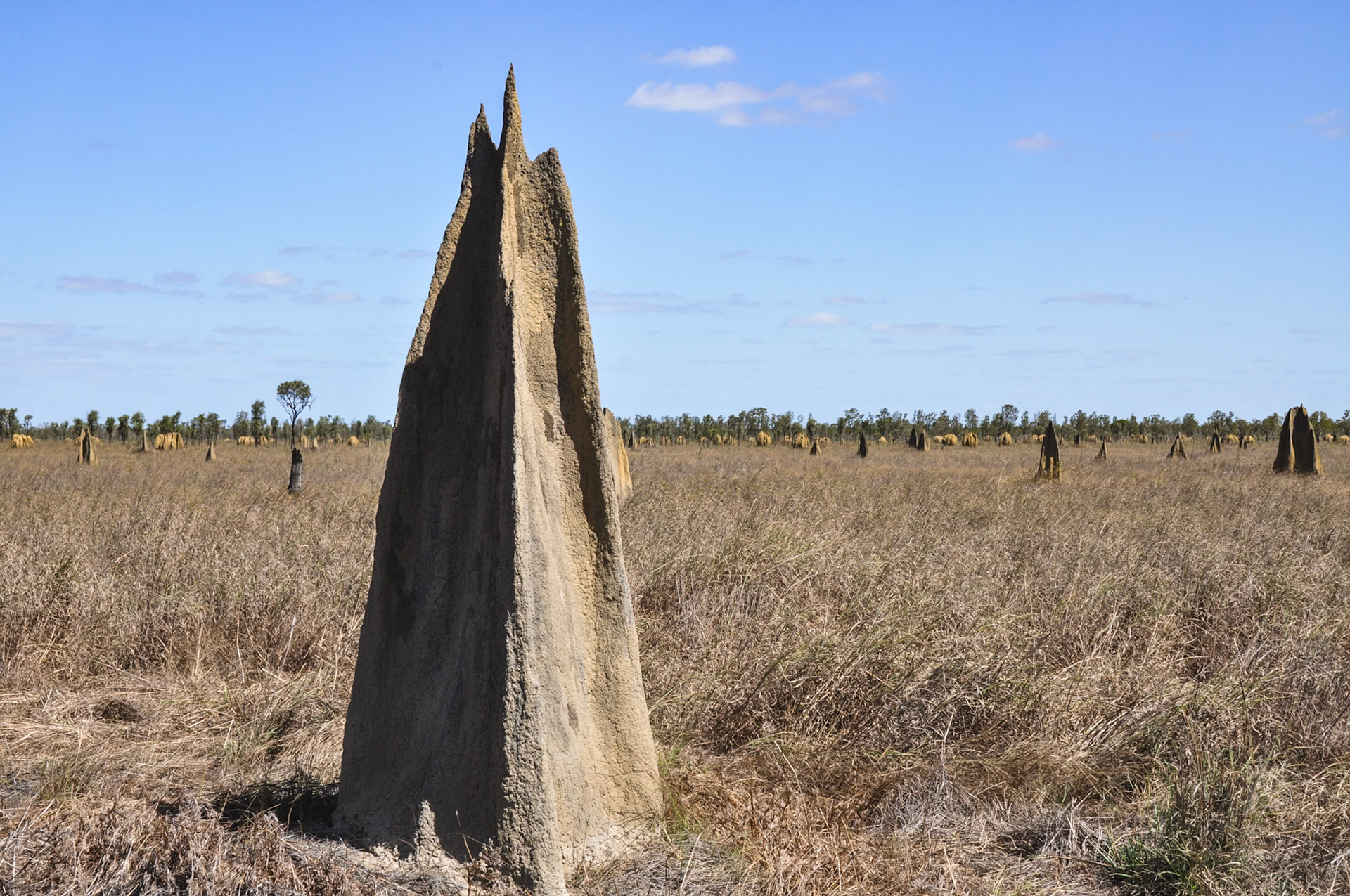 Marina Plains, Cape York