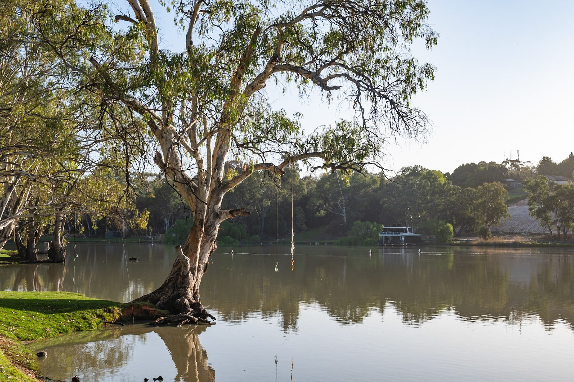 Murray River, Renmark