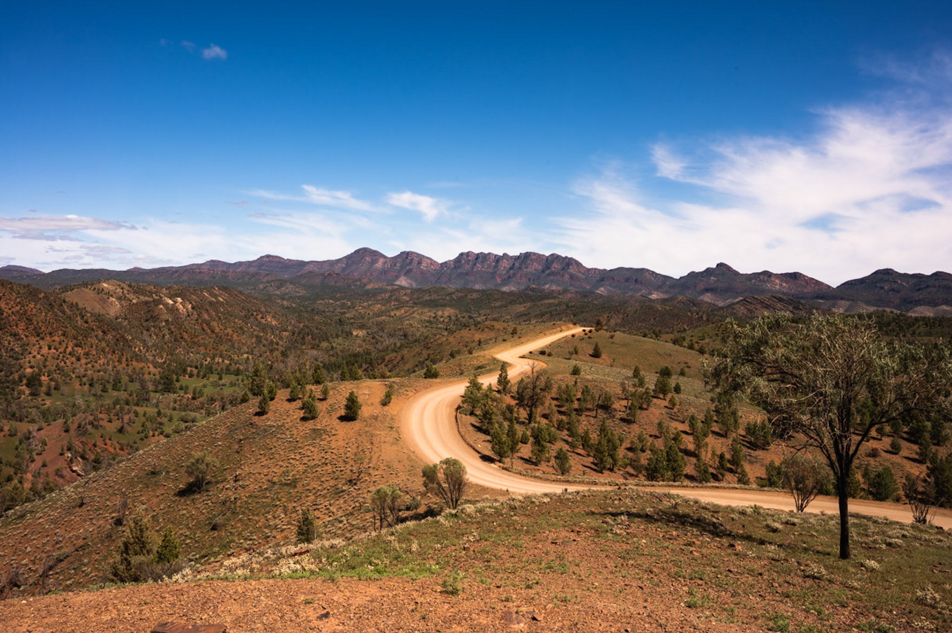 Road to Bunyeroo Gorge