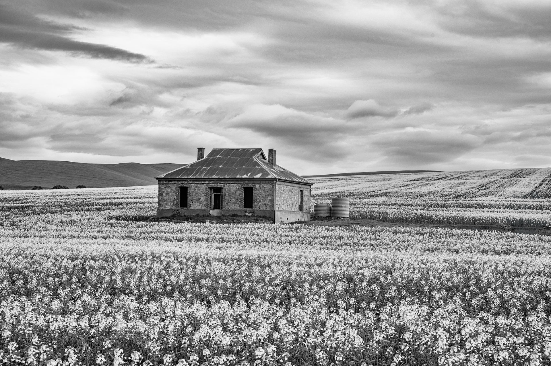 The midnight Oil Cottage, Burra