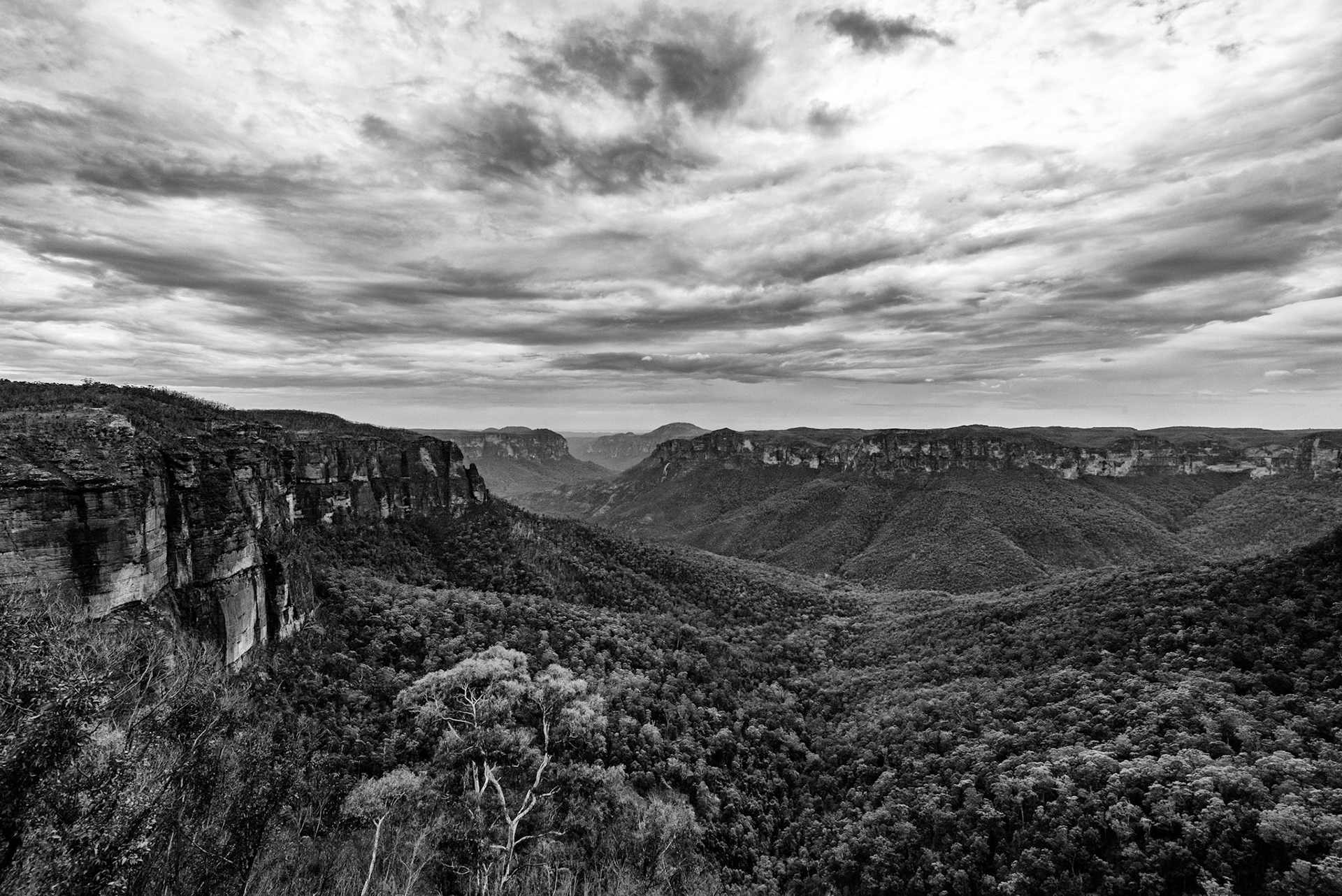 Blue Mountains