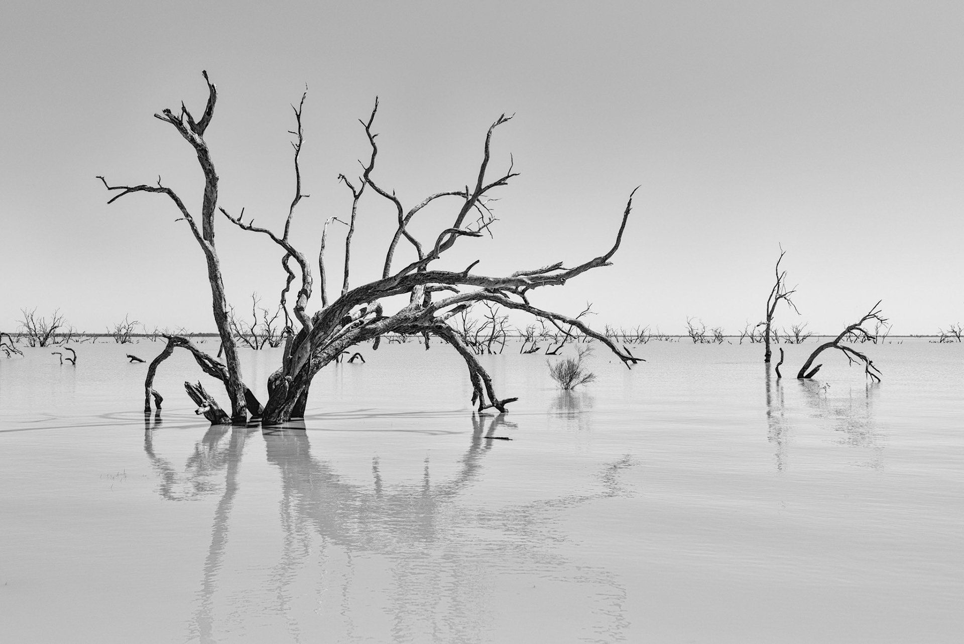 Lake Pamamaroo, Menindee