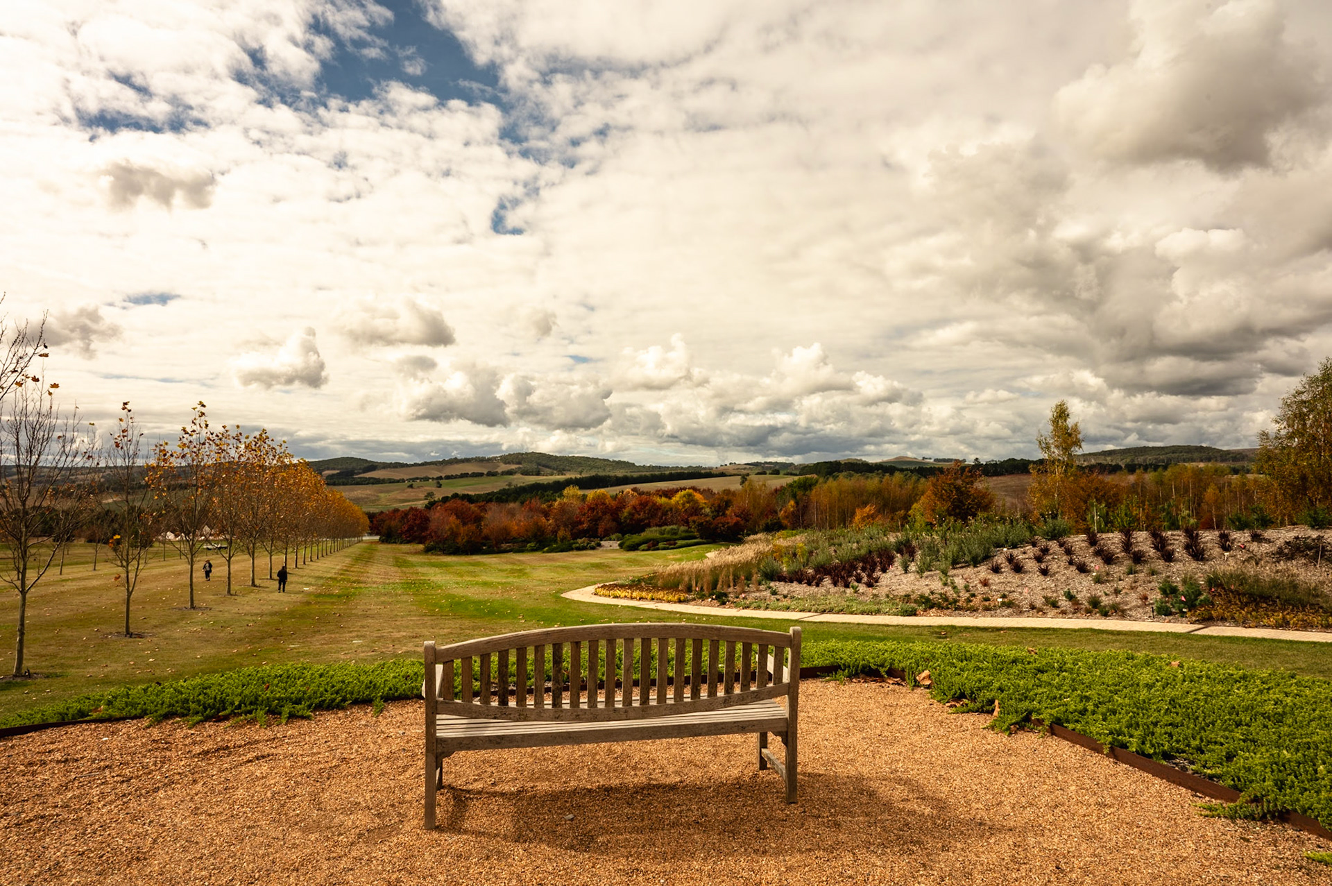 Mayfield Garden