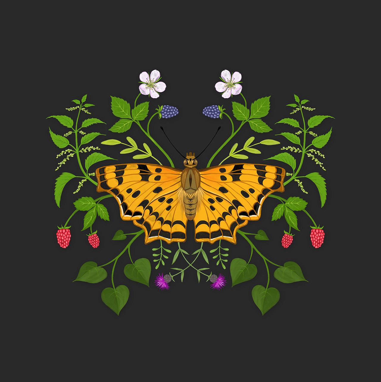 Butterfly - digital painting