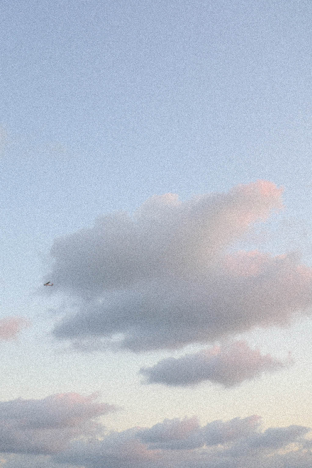 Seaplane in Miami | Fall 2019