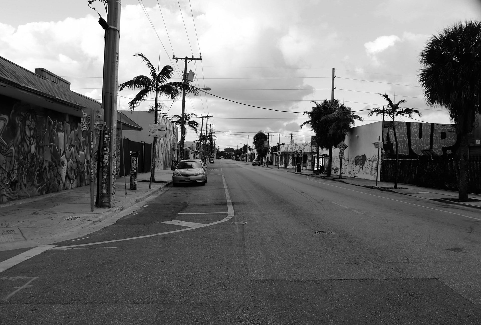 Wynwood FLorida